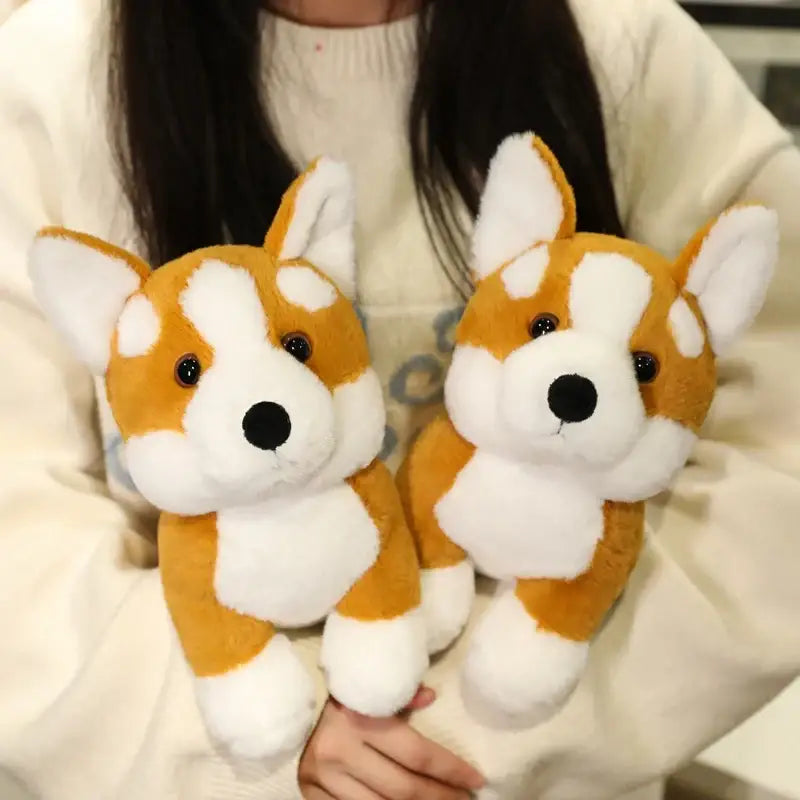 corgi en peluche