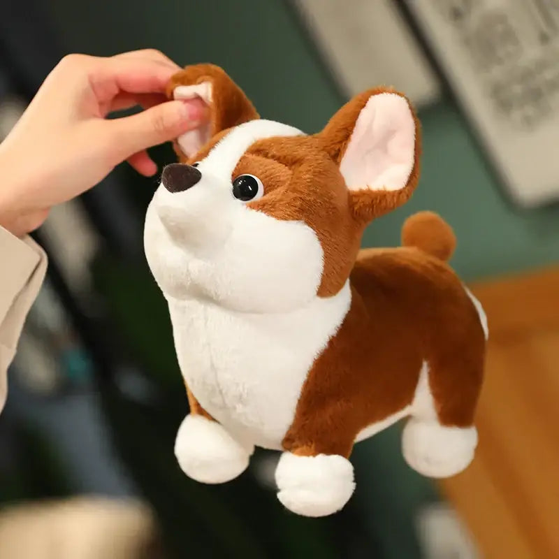 corgi peluche