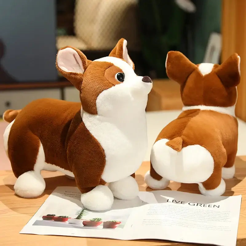 corgi peluche - 23cm