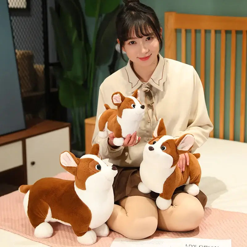 corgi peluche