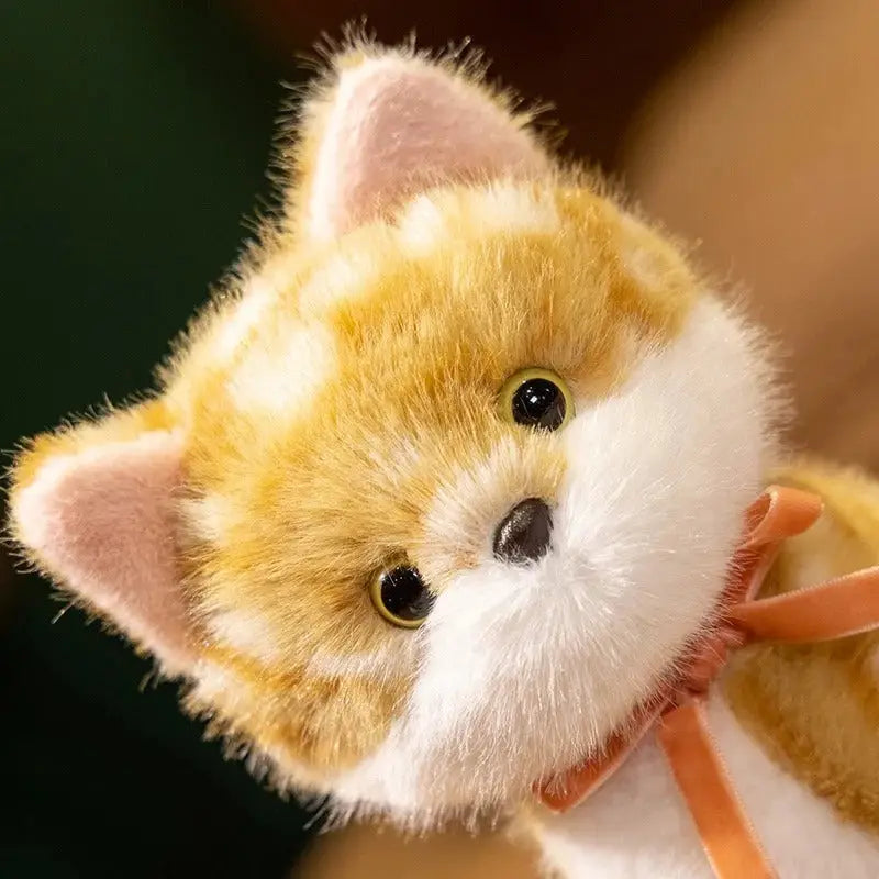 Diade le Chaton Kawaii