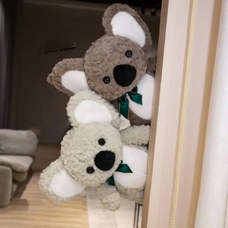 peluche koala australie