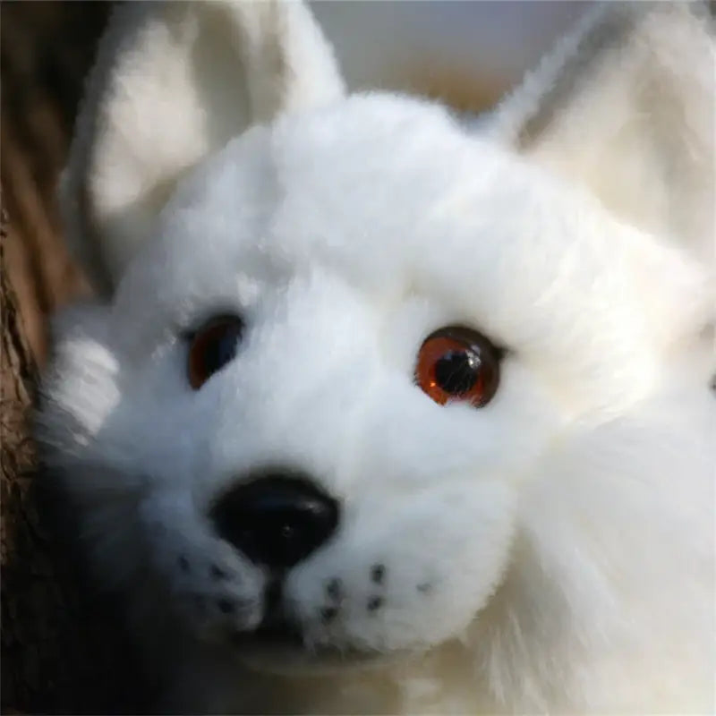 renard blanc peluche