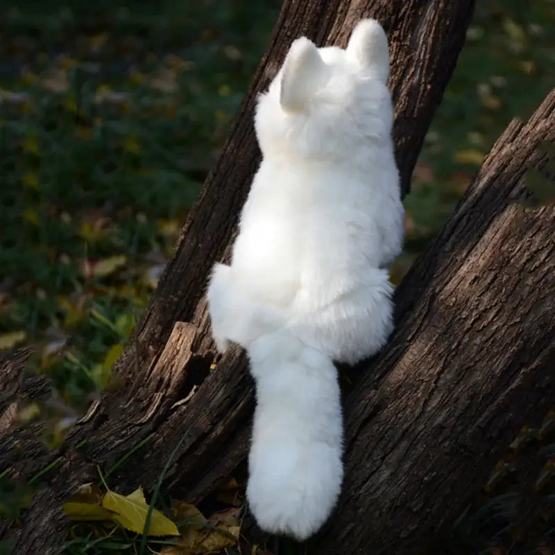 renard blanc peluche