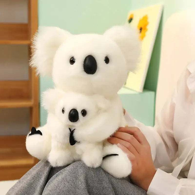 bebe koala peluche
