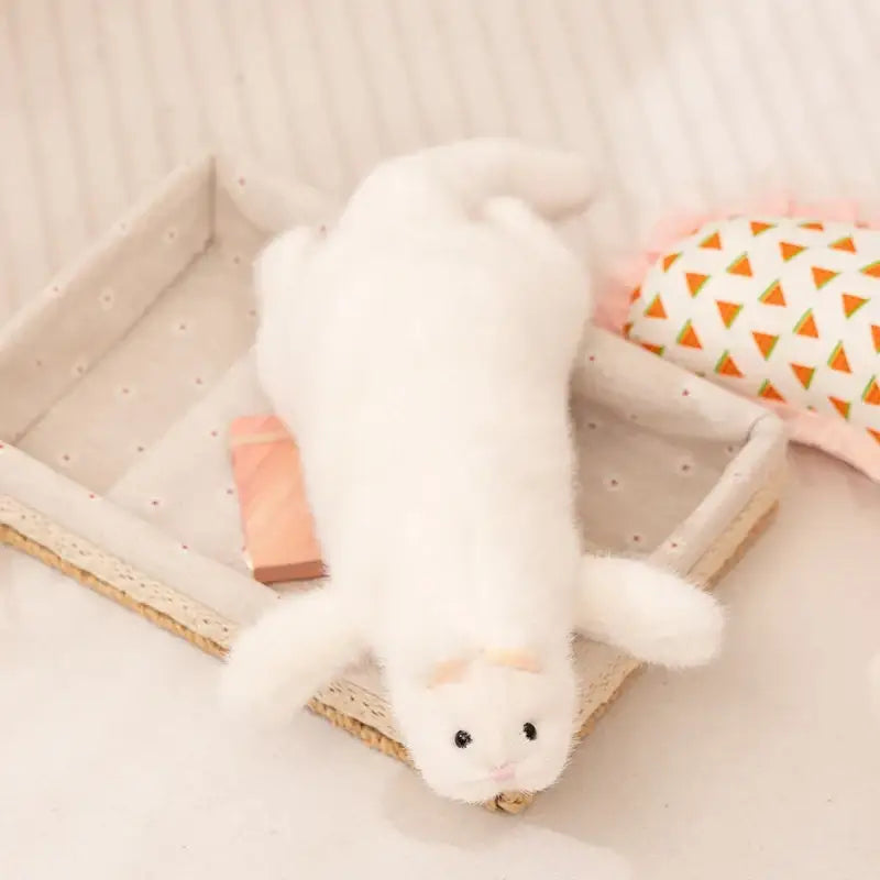 furet en peluche - Blanc