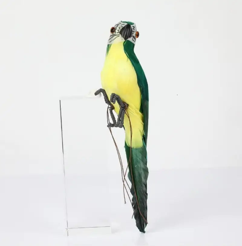 peluche perroquet vert