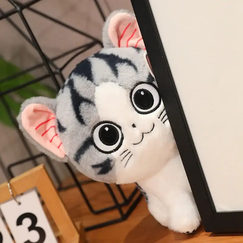 petite peluche chat