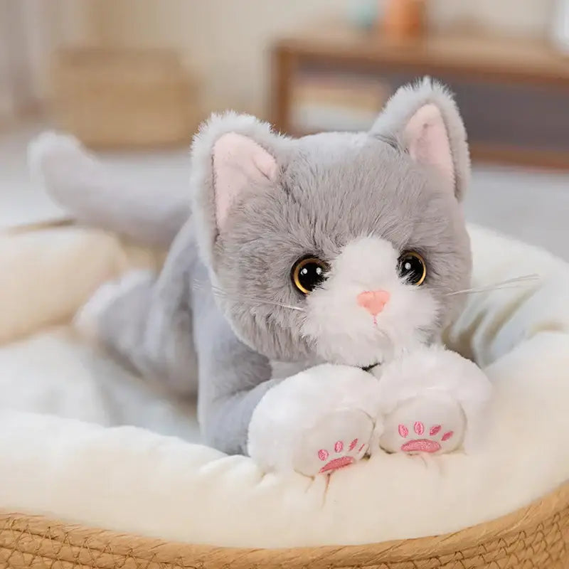 peluche chat gris