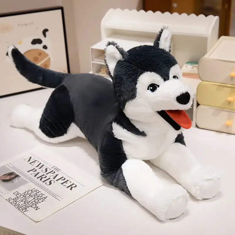 grande peluche chien husky