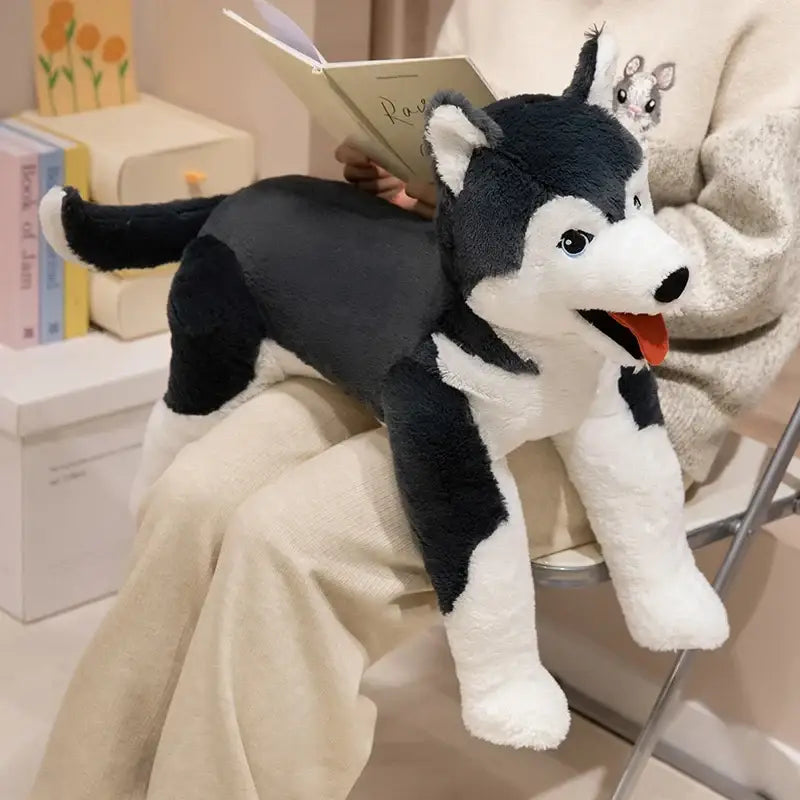 grande peluche chien husky