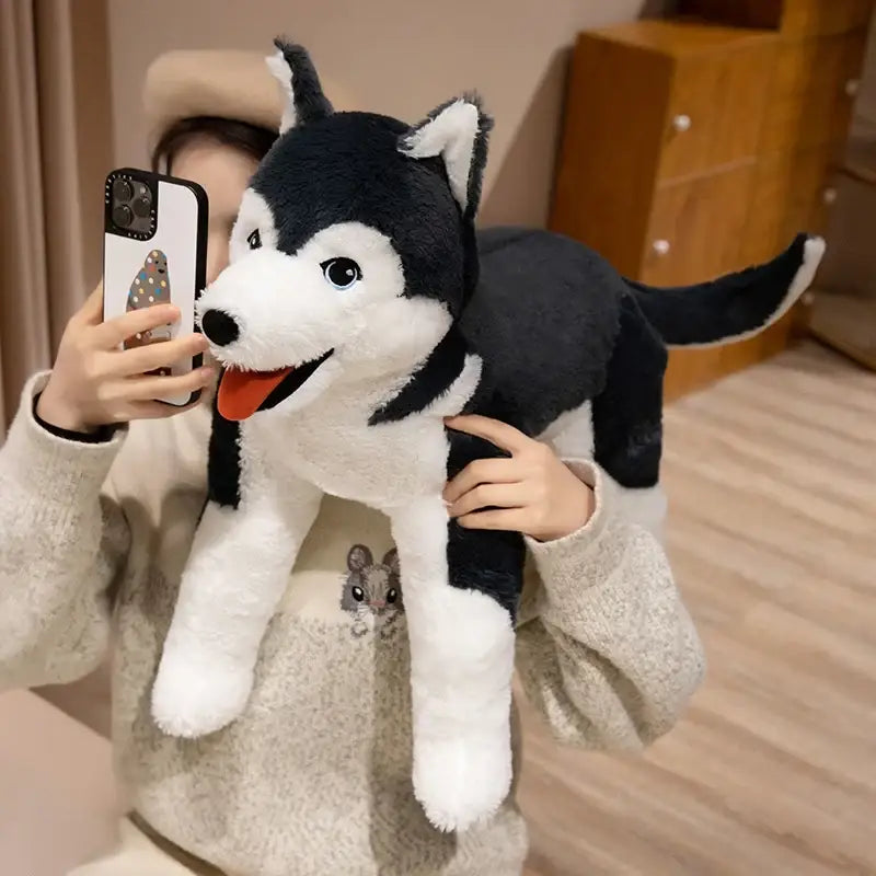grande peluche chien husky