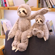 grande peluche paresseux - 50cm