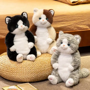 gros chat peluche