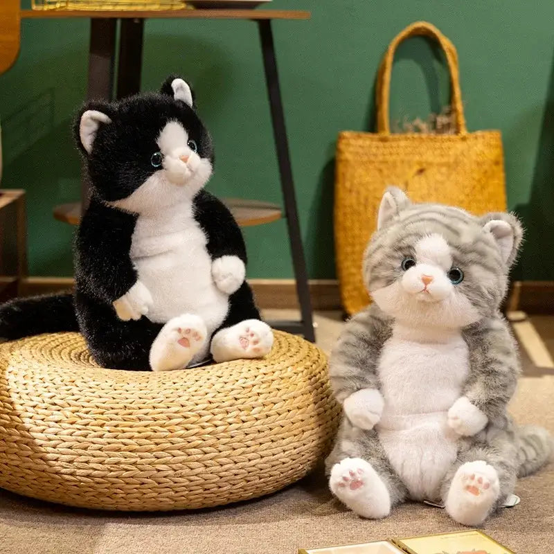 gros chat peluche