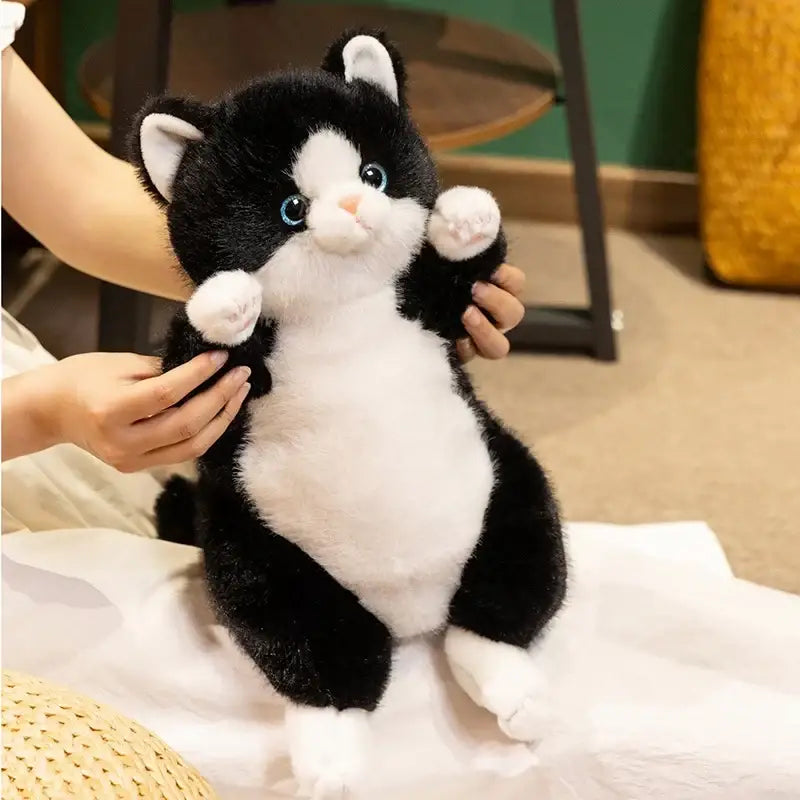 gros chat peluche