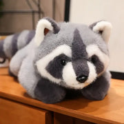 Grosse peluche raton laveur - 40cm