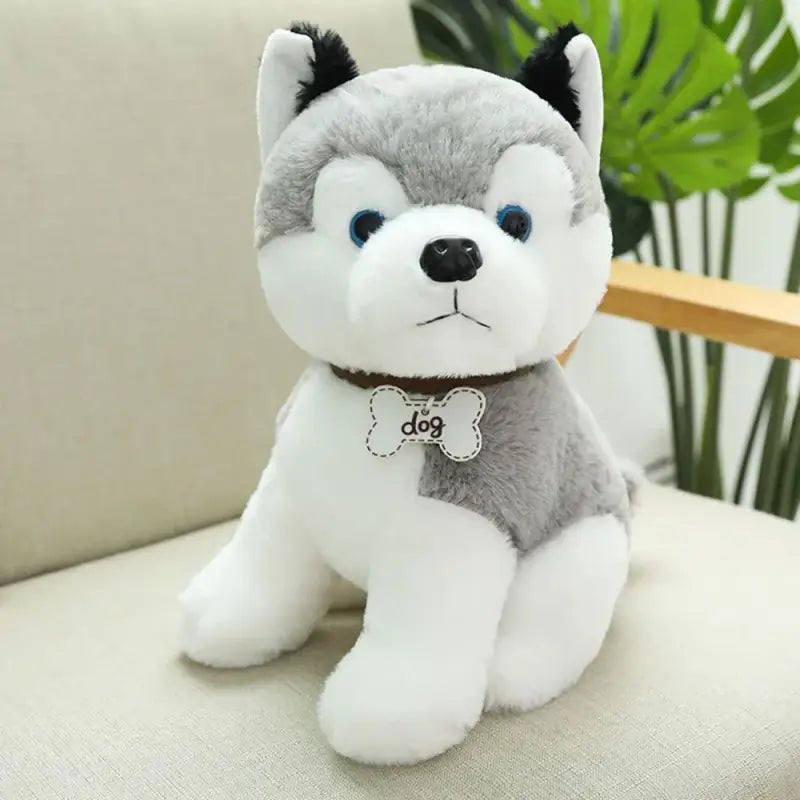 husky peluche