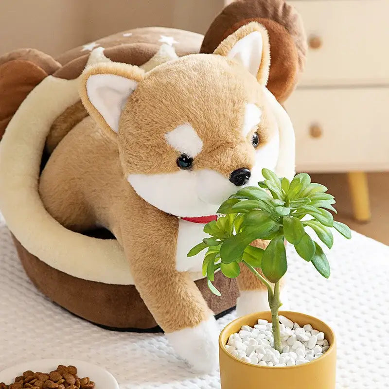 peluche chien shiba