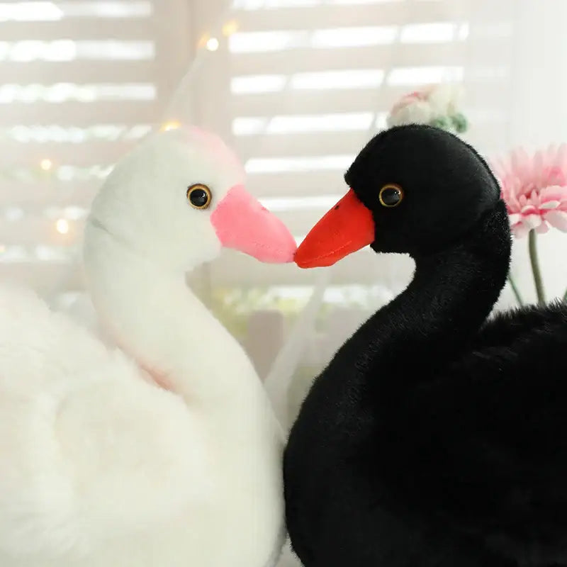 cygne peluche