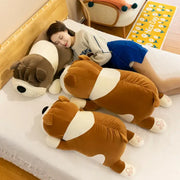 peluche shar pei