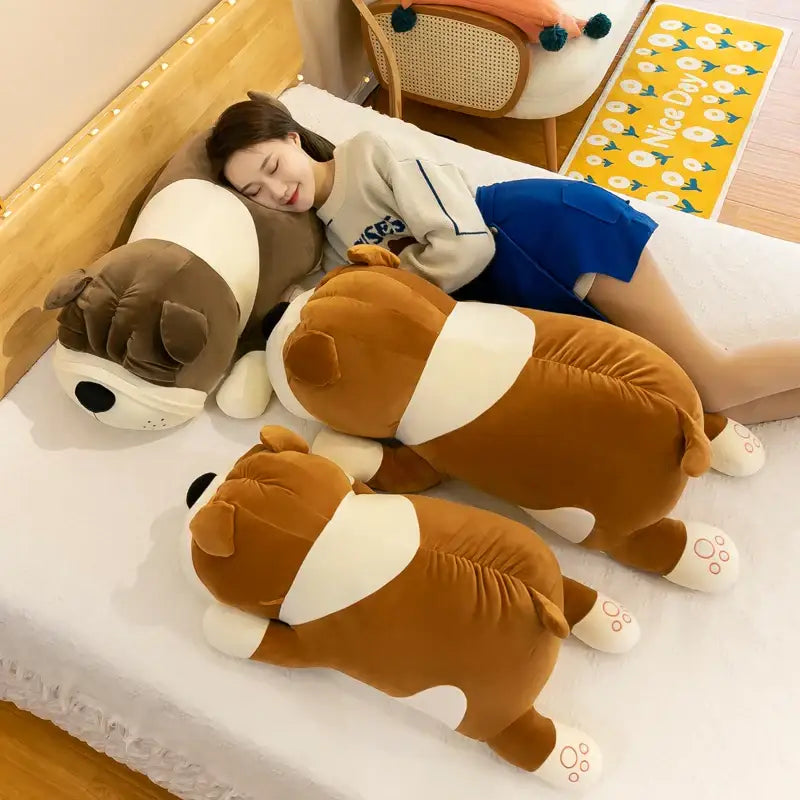 peluche shar pei