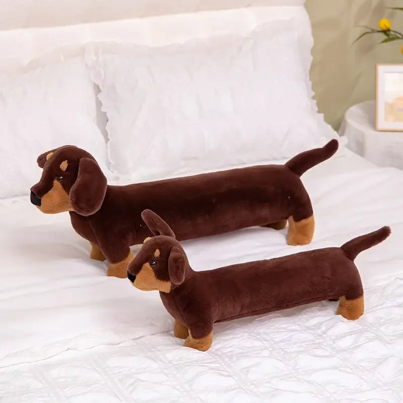 teckel en peluche