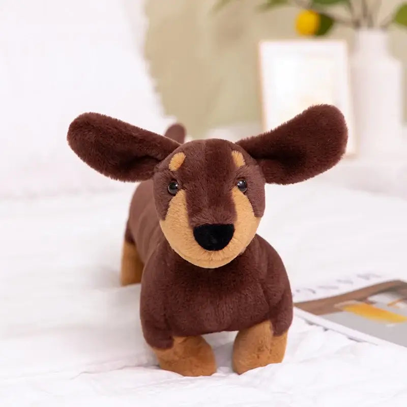 teckel en peluche