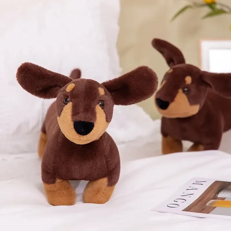 teckel en peluche