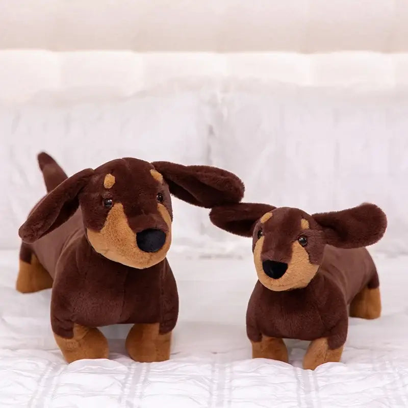 teckel en peluche