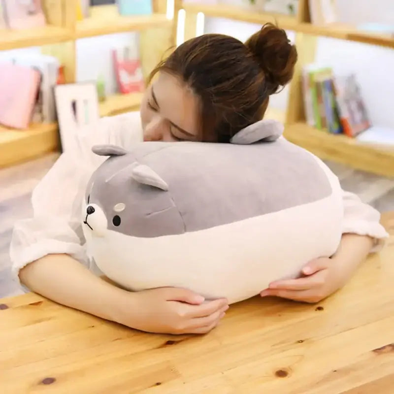 peluche shiba kawaii