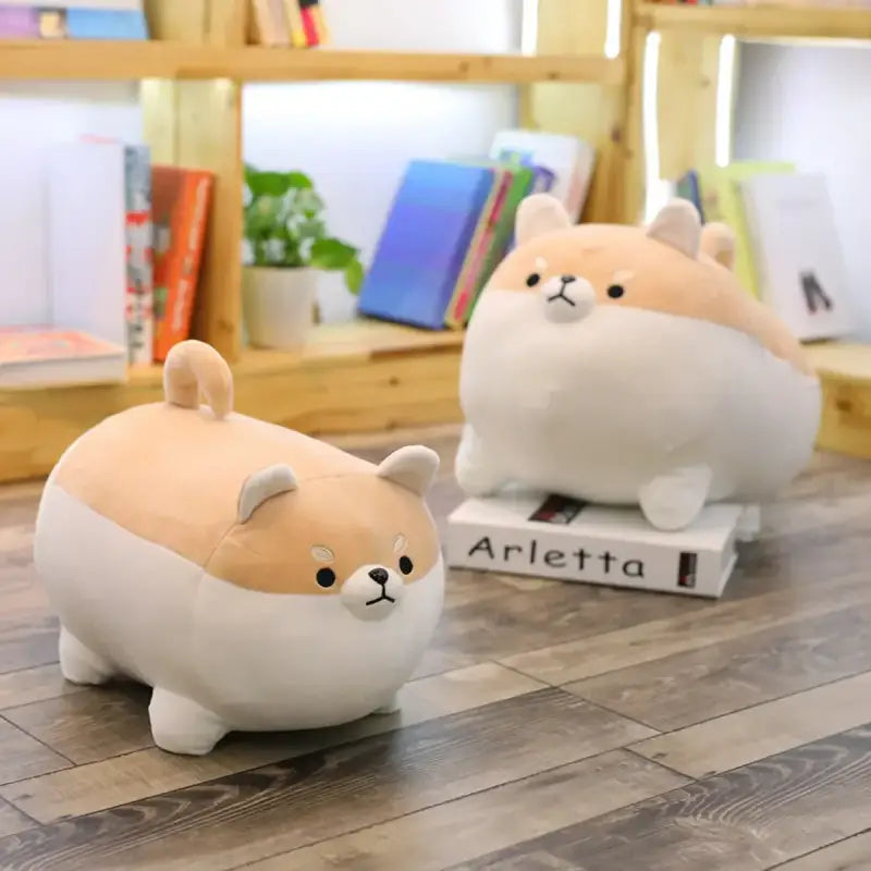 peluche shiba kawaii