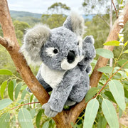 koala de peluche