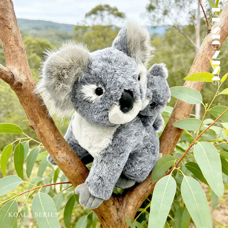 koala de peluche