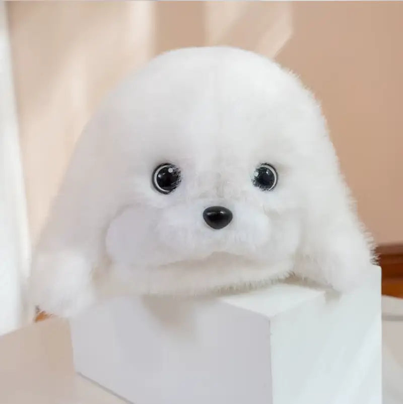 phoque en peluche
