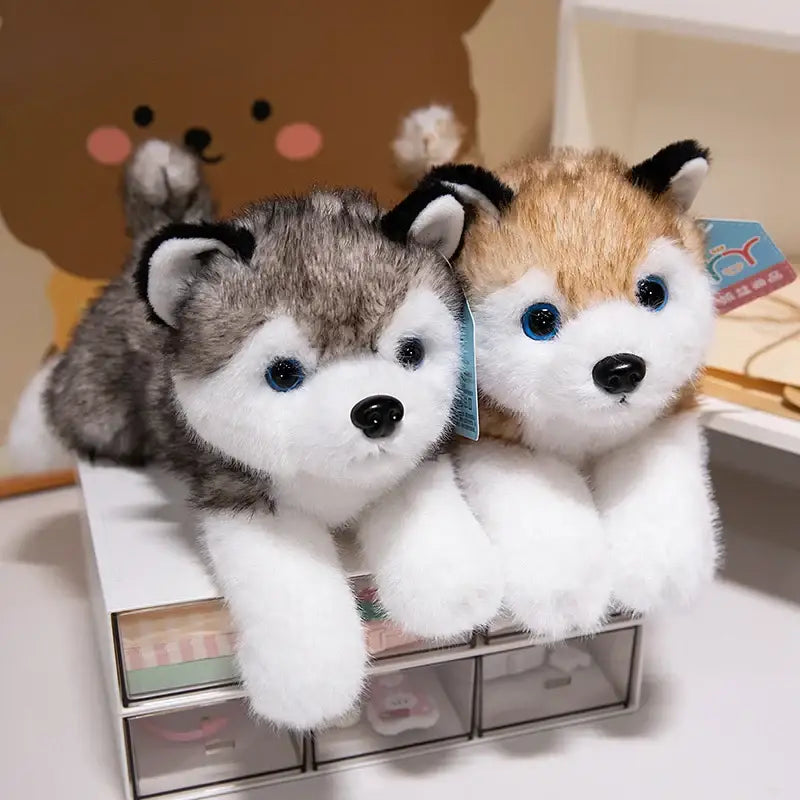 chien husky en peluche