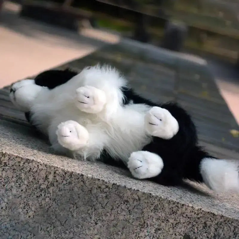 peluche de border collie