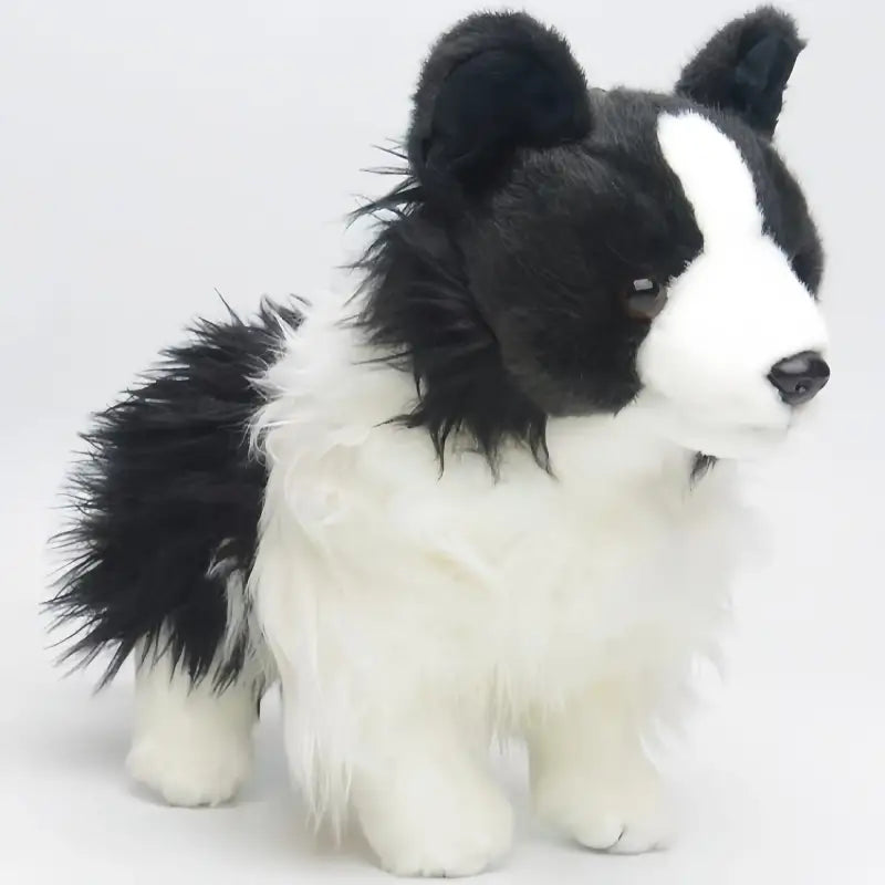 peluche de border collie