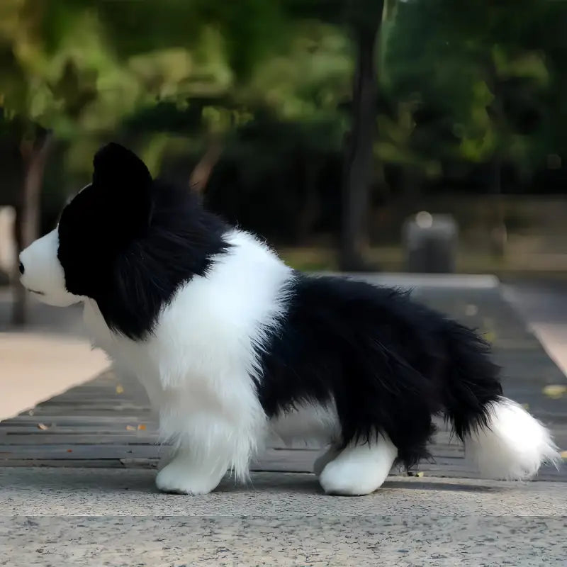 peluche de border collie