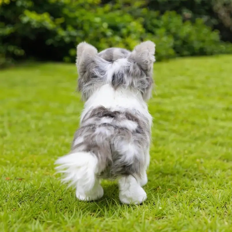 peluche chien border collie