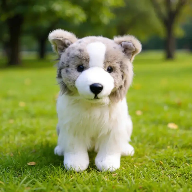 peluche chien border collie