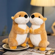 peluche marmotte bebe