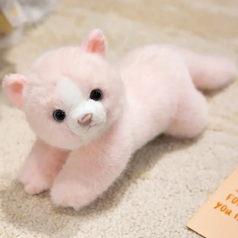 Peluche Chat Rose