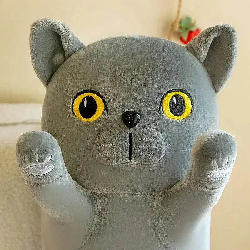peluche kawaii chat