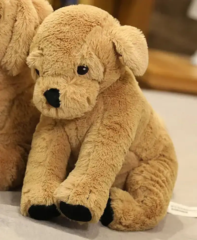 Ora et Pepito les Golden Retrievers - Pepito