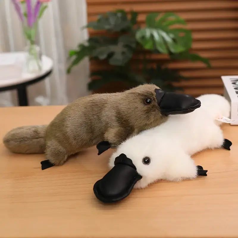 ornithorynque en peluche