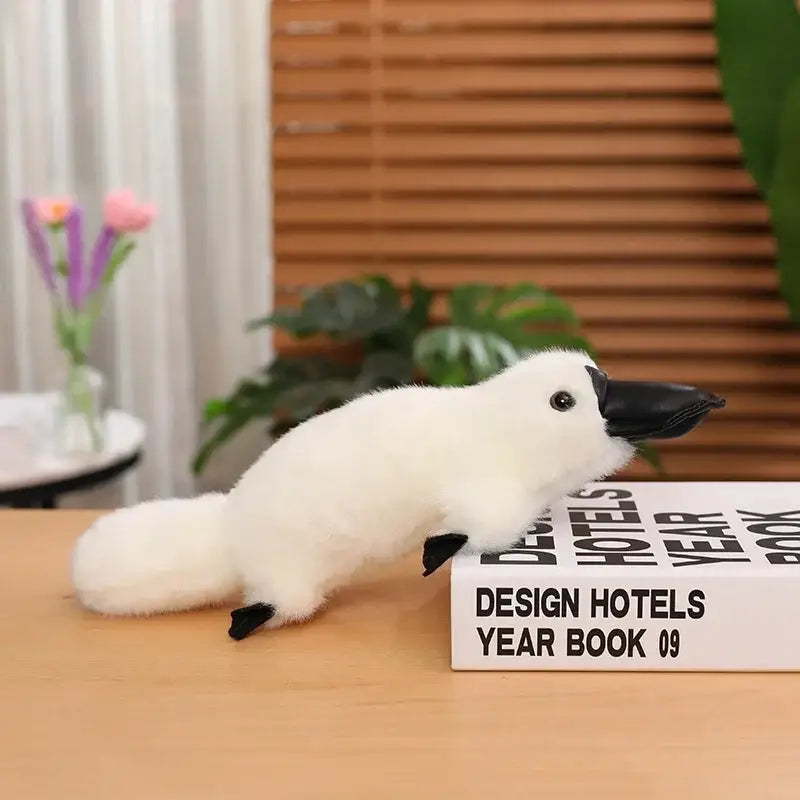 ornithorynque en peluche - Blanc / 30cm