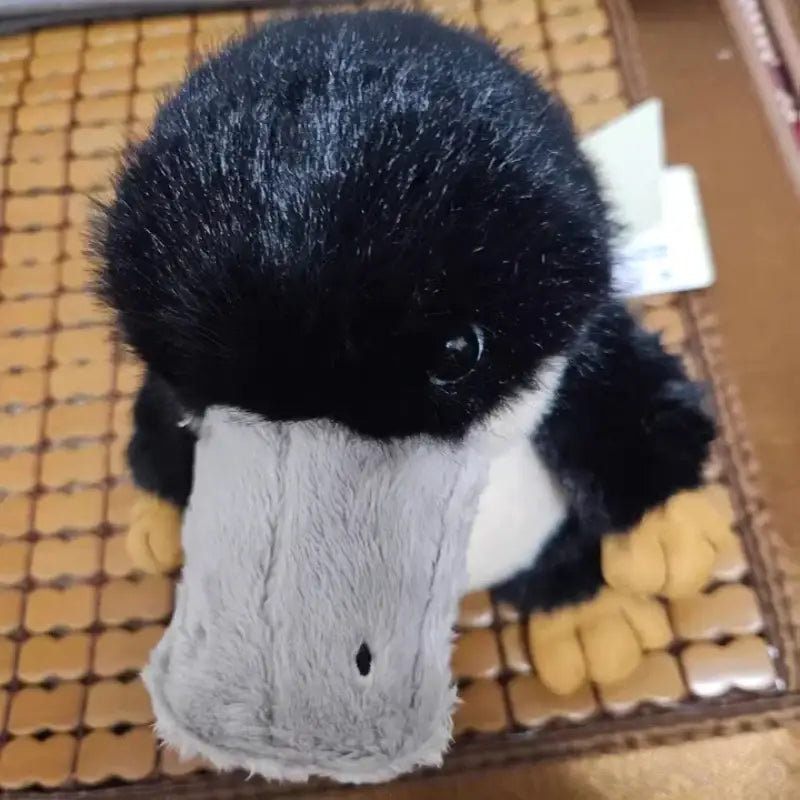ornithorynque peluche