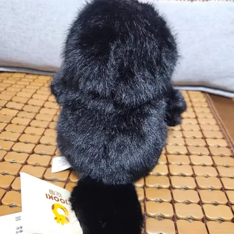 ornithorynque peluche