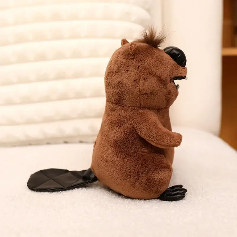 castor peluche